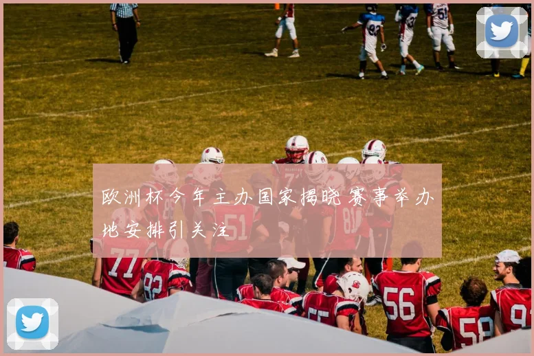 欧洲杯今年主办国家揭晓 赛事举办地安排引关注