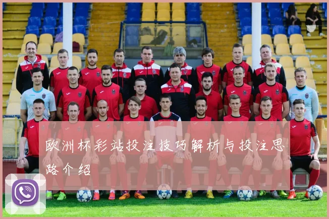 欧洲杯彩站投注技巧解析与投注思路介绍