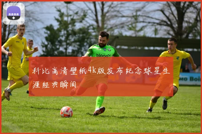 科比高清壁纸4k版发布纪念球星生涯经典瞬间