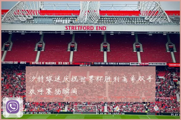 沙特球迷庆祝世界杯胜利高举双手欢呼赛场瞬间