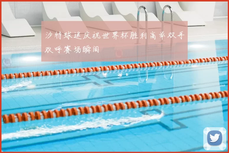 沙特球迷庆祝世界杯胜利高举双手欢呼赛场瞬间