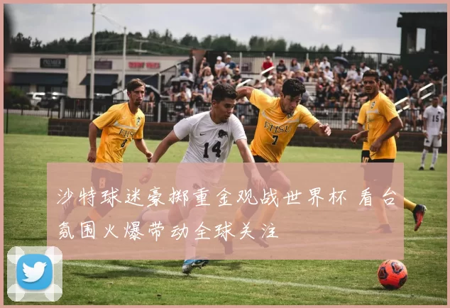 沙特球迷豪掷重金观战世界杯 看台氛围火爆带动全球关注